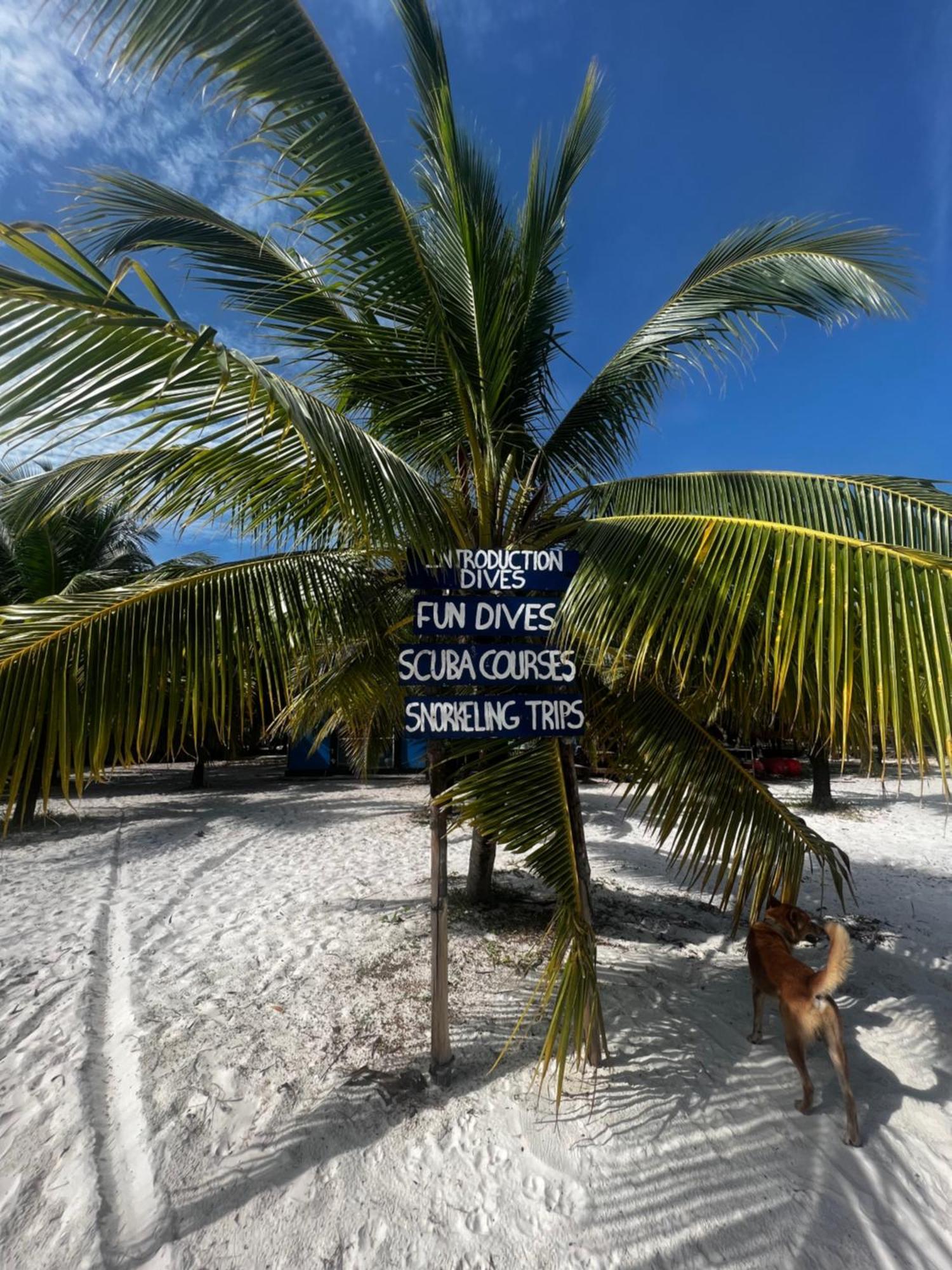 Rafikis Ostello Isola di Koh Rong Esterno foto