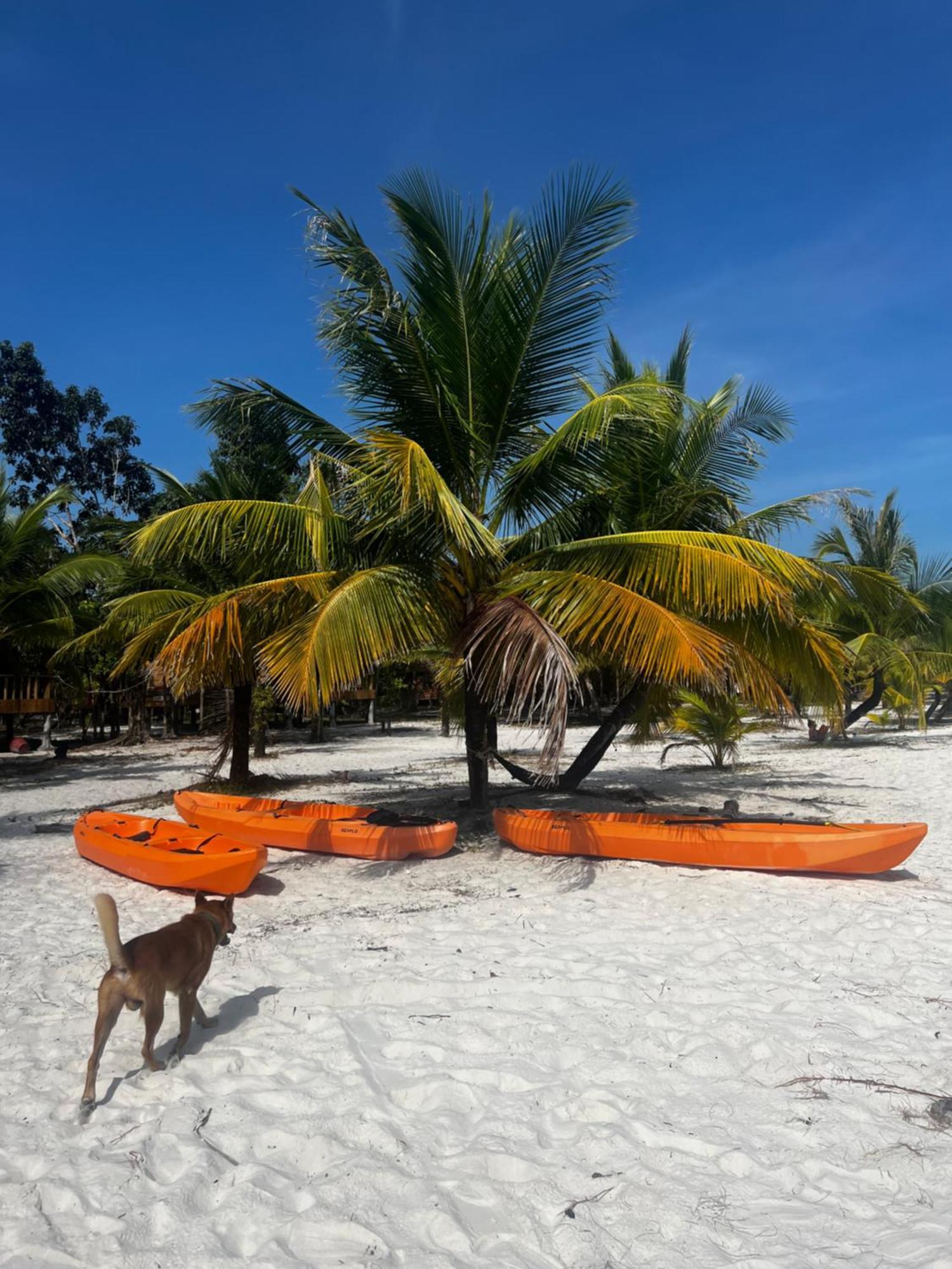 Rafikis Ostello Isola di Koh Rong Esterno foto